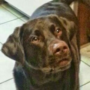 Meet your Posher, Lee